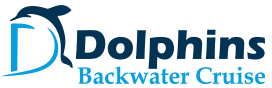 Dolphins Backwater Cruise